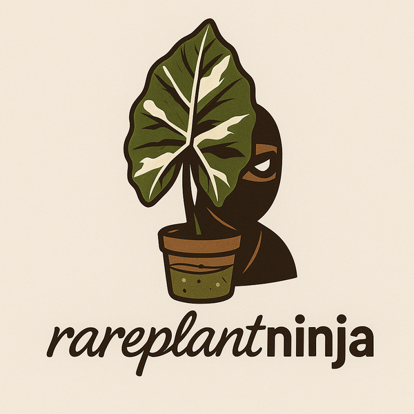 Rareplantninja