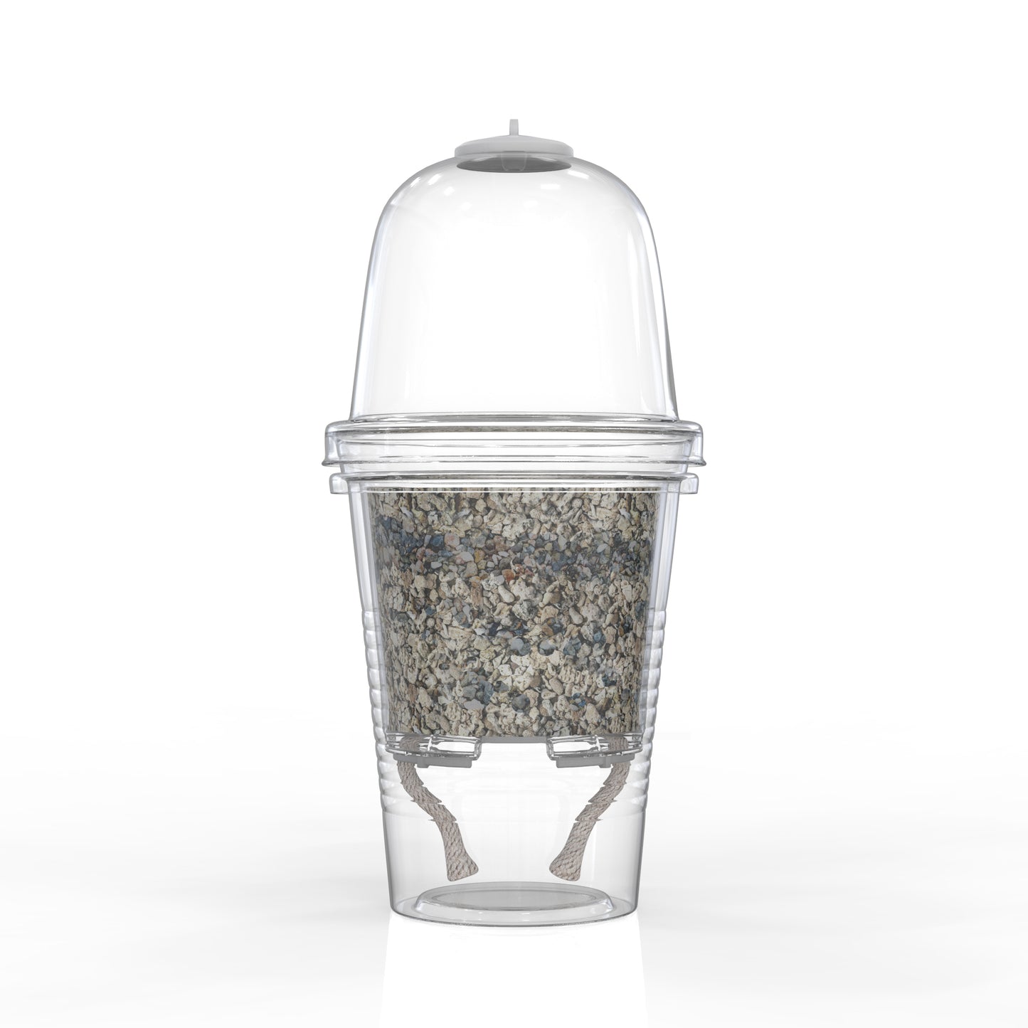 Large 3-inch Self-Watering Cup + Dome + Premium Substrate