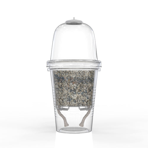 Large 3-inch Self-Watering Cup + Dome + Premium Substrate