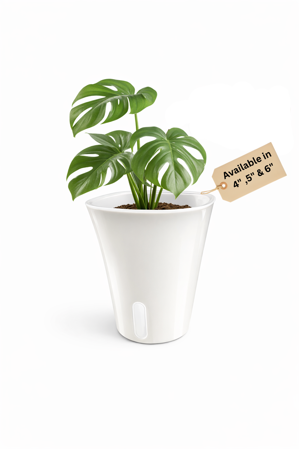 Self-Watering Pots with Clear Insert for Root Monitoring (5-Pack)