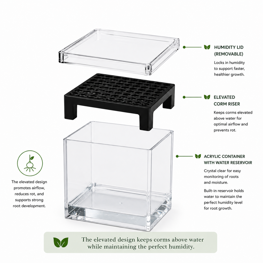 Corm Crib™ – 5 Pack Alocasia Corm Riser Bundle