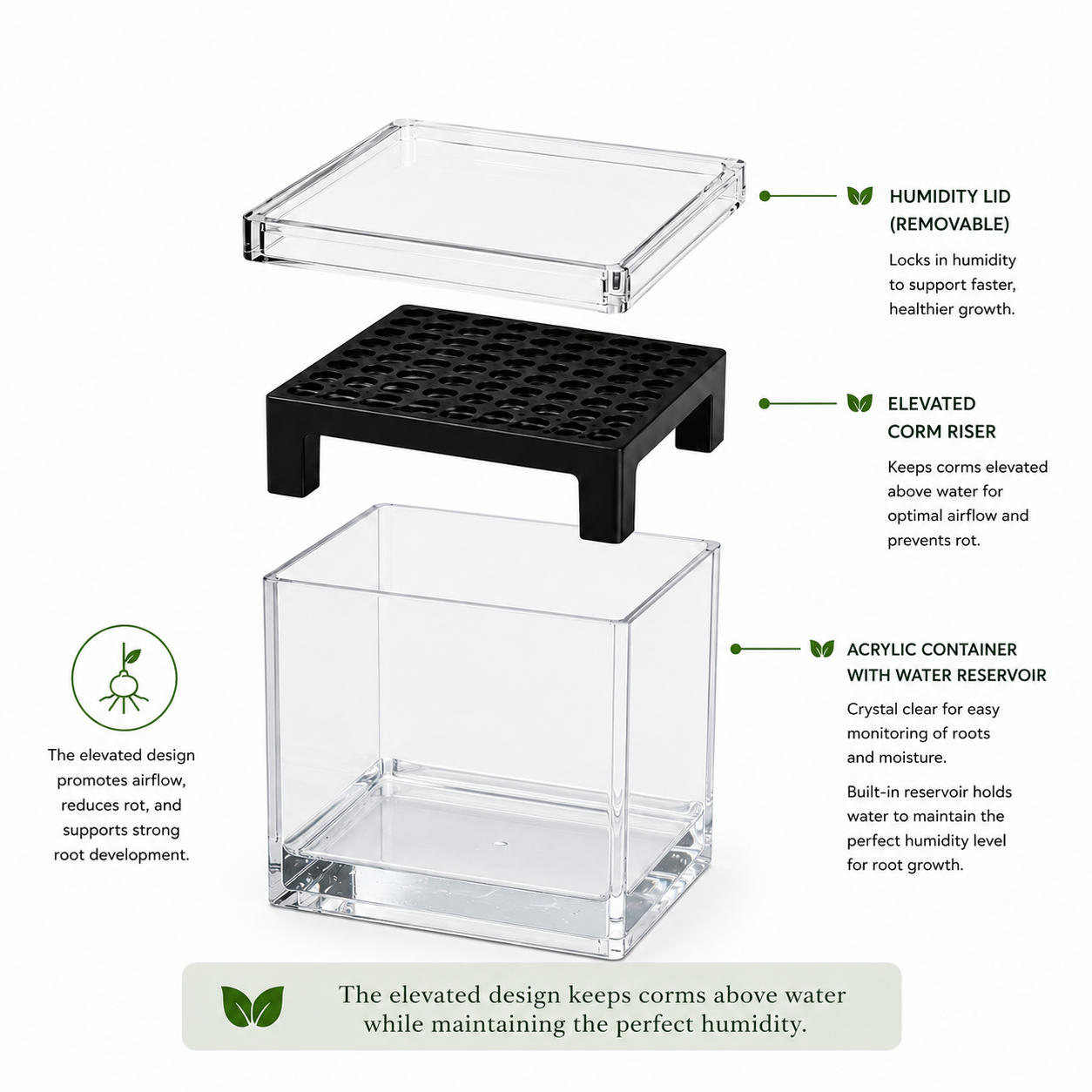 Corm Crib™ – 5 Pack Alocasia Corm Riser Bundle