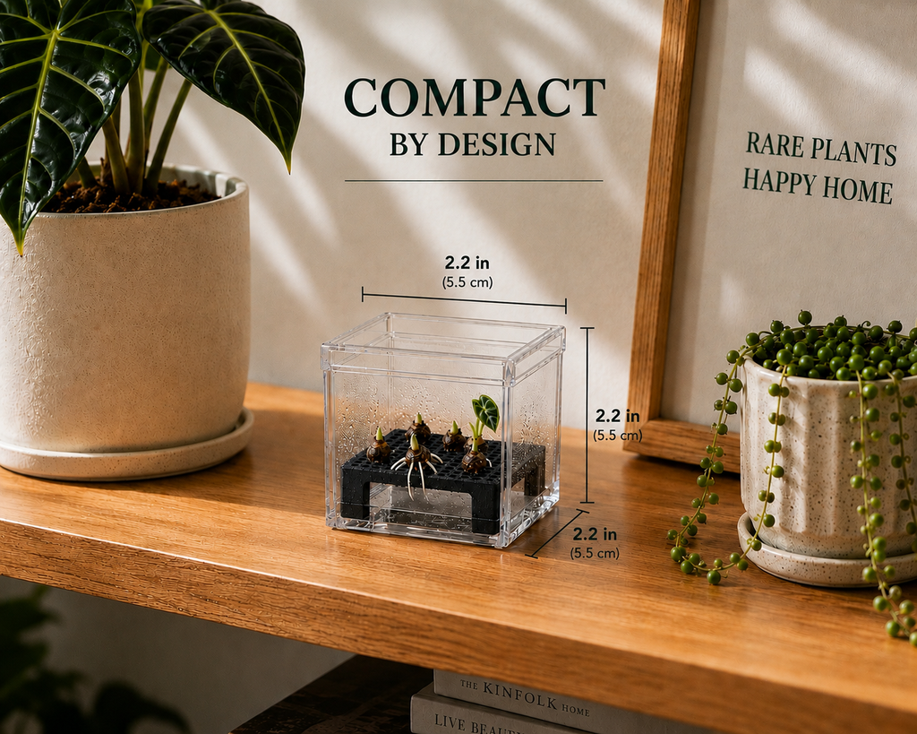 Corm Crib™ – 5 Pack Alocasia Corm Riser Bundle