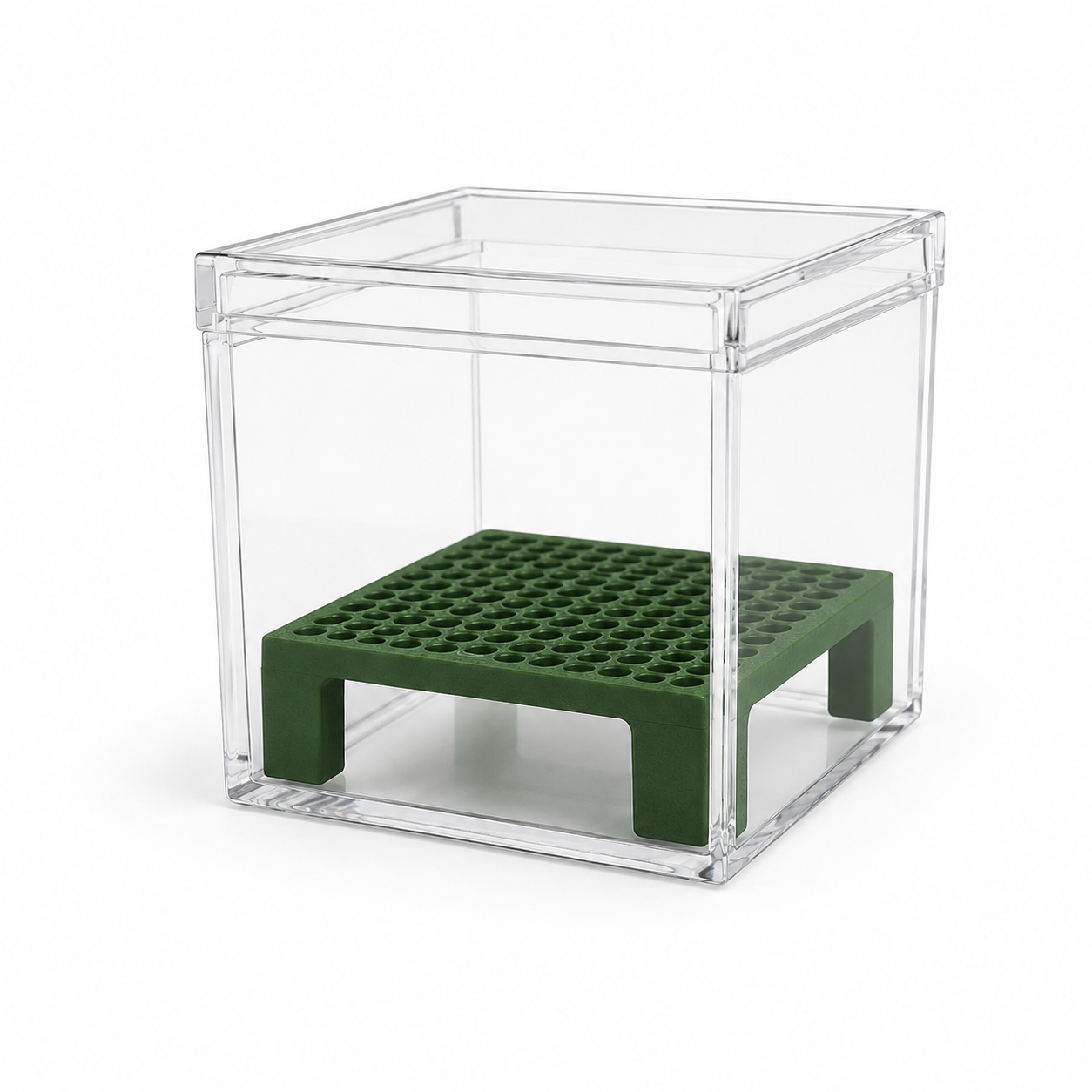 Corm Crib™ – 5 Pack Alocasia Corm Riser Bundle