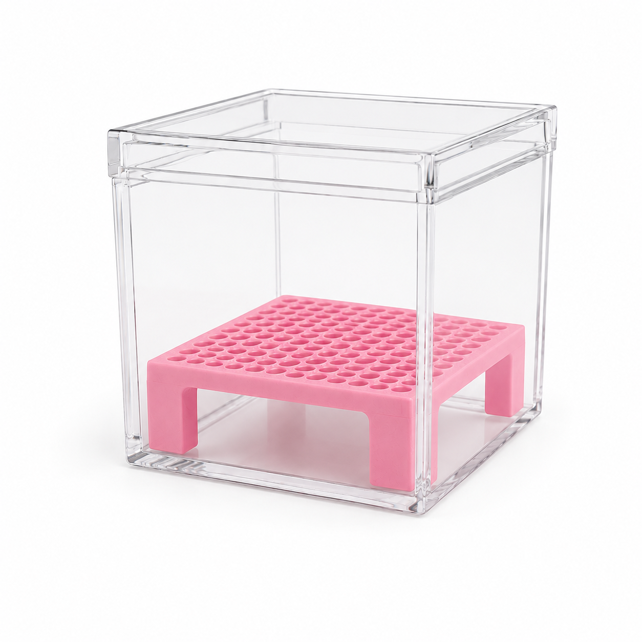 Corm Crib™ – 5 Pack Alocasia Corm Riser Bundle