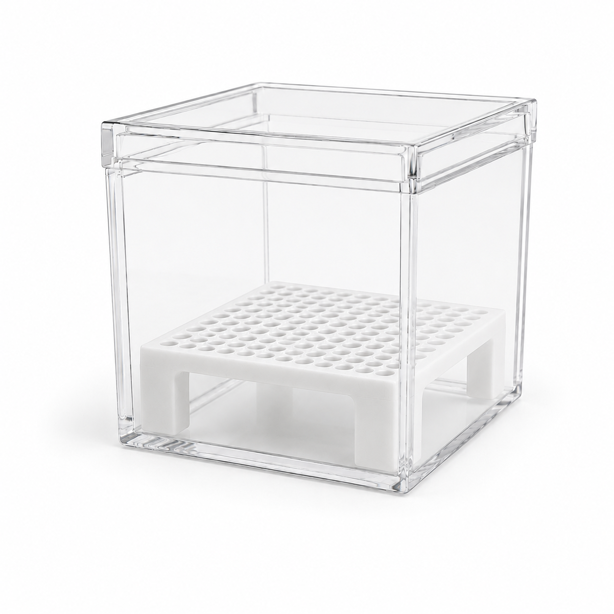 Corm Crib™ – 5 Pack Alocasia Corm Riser Bundle