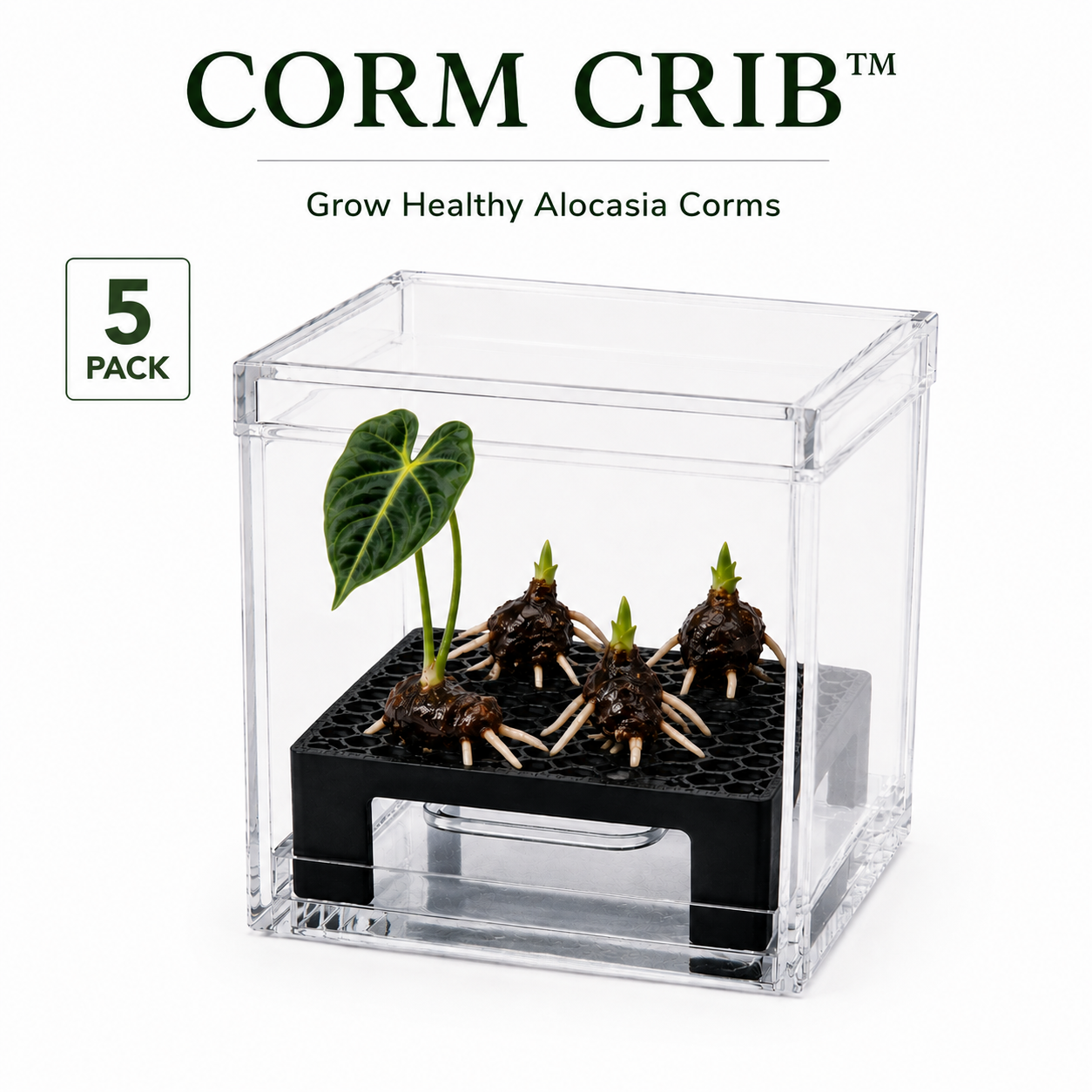 Corm Crib™ — 5-Pack