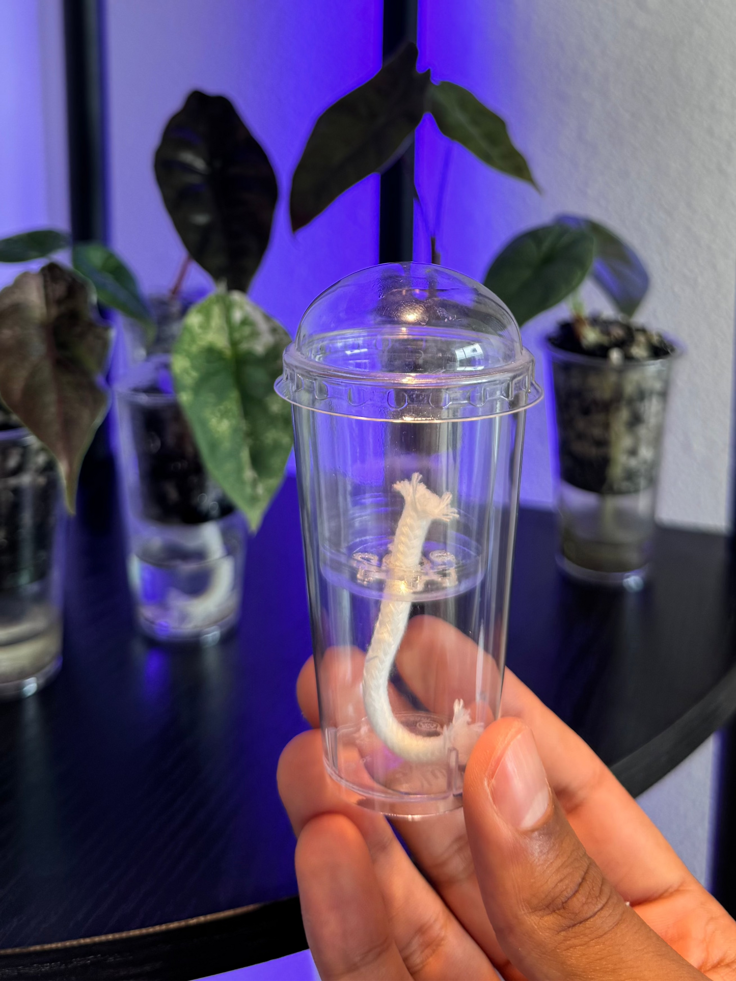 Small Self-Watering Seed Starter Cup