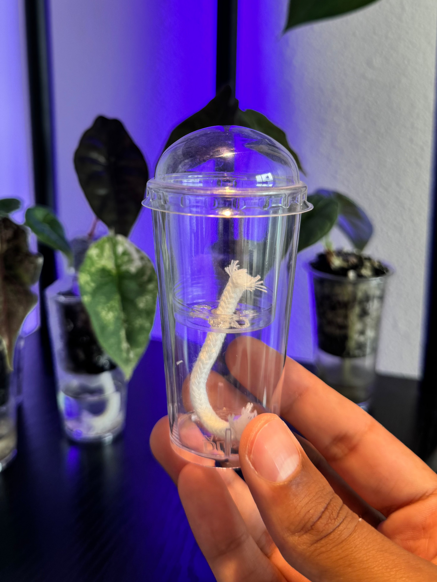 Small Self-Watering Seed Starter Cup